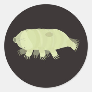 Tardigrade sticker