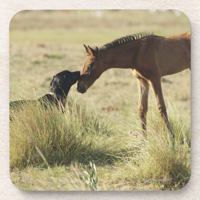 Tarifa, Cadiz, Andalusia, Spain 2 Beverage Coaster (Front)