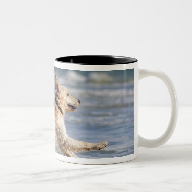 tarifa, cadiz, andalusia, spain Two-Tone coffee mug (Right)