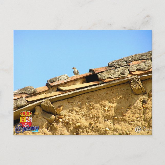 Tarjeta postal postcard (Front)