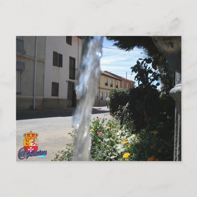 Tarjeta postal postcard (Front)