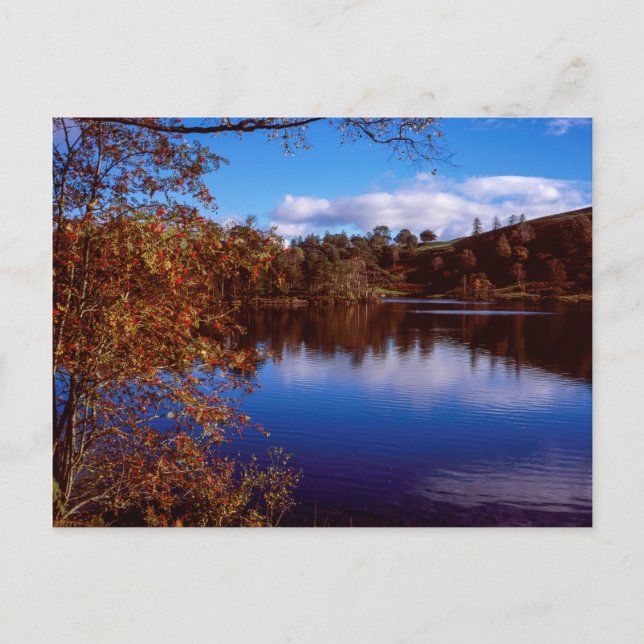 Tarn Hows  bright Autumn day Lake District England Postcard (Front)