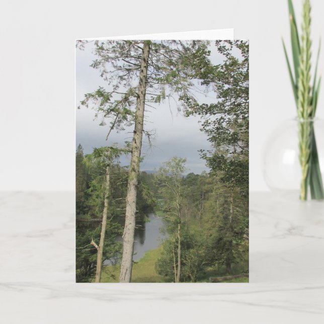 Tarn Hows Trees Card (Front)