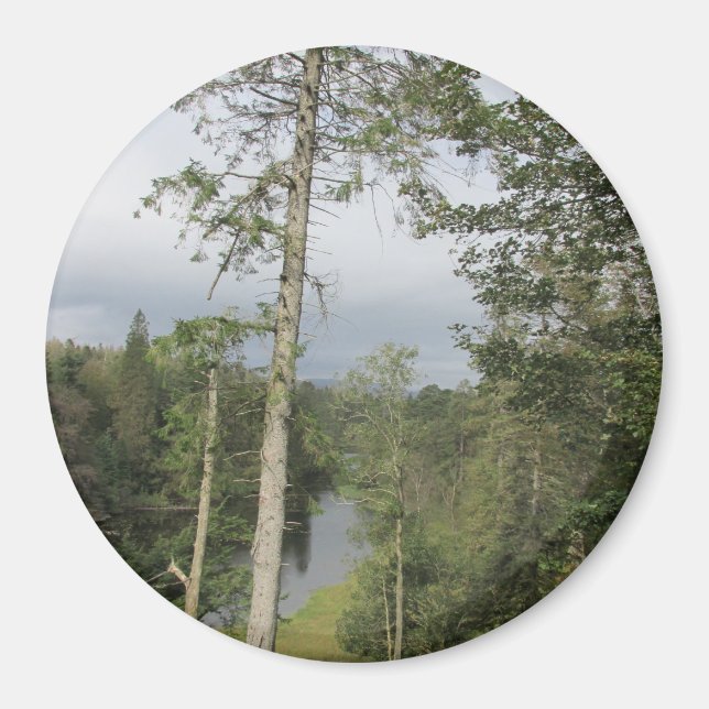 Tarn Hows Trees Magnet (Front)