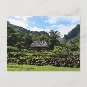 Taro Garden at Limahuli Garden, Kauai Postcard