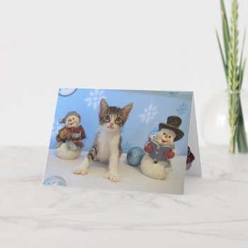 Taromina's Christmas - Cat / Kitten Christmas Card