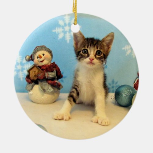 Tarominas Christmas Ornament Cat  Kitten