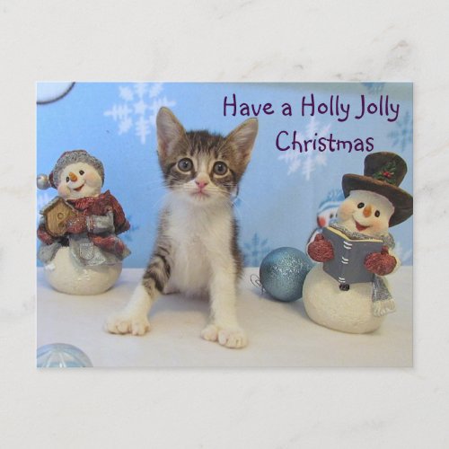 Tarominas Holly Jolly Christmas  Cat  Kitten Holiday Postcard