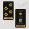 Tarot Logo Dog Grooming Service Black Gold 
