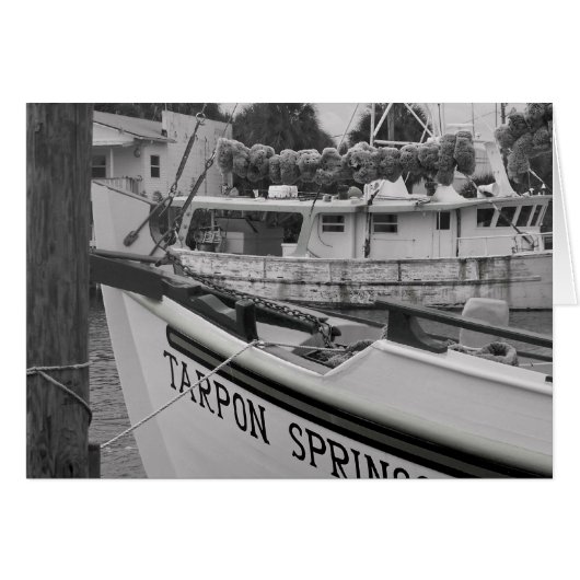 Tarpon (Front Horizontal)