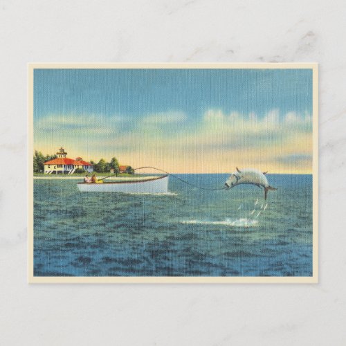 Tarpon fishing in Florida vintage Postcard