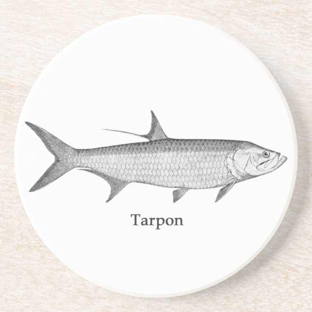 Tarpon  Logo  (line art) Sandstone Coaster (Front)