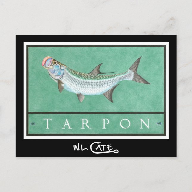 Tarpon Postcards (Front)