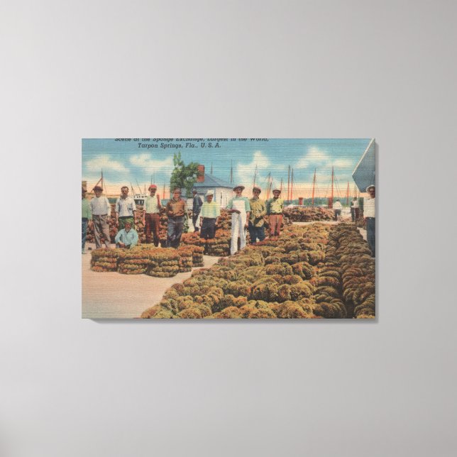 Tarpon Springs, FL - Scene of Sponge Exchange Canvas Print (Front)
