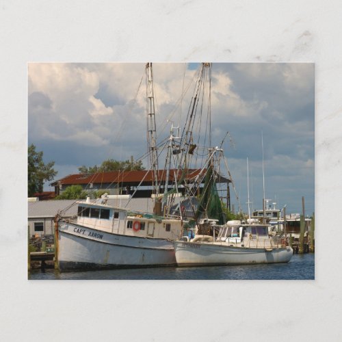 Tarpon Springs Florida  Post Cards