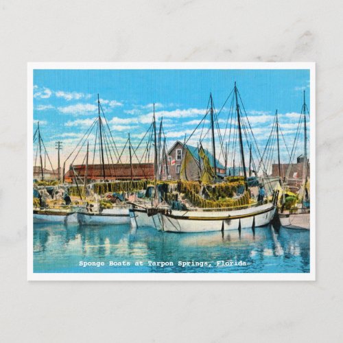 Tarpon Springs Florida Sponge Boats Vintage Postcard