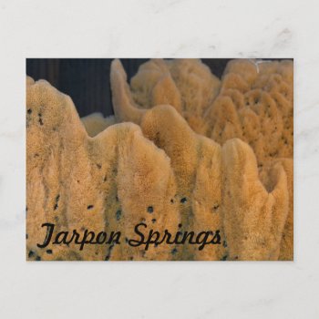 Tarpon Springs Sponge Postcard by GoingPlaces at Zazzle