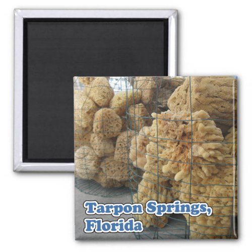 Tarpon Springs Sponges Magnet
