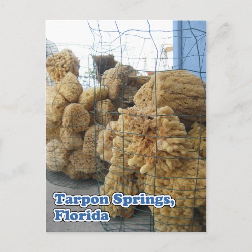 Tarpon Springs Sponges Postcard