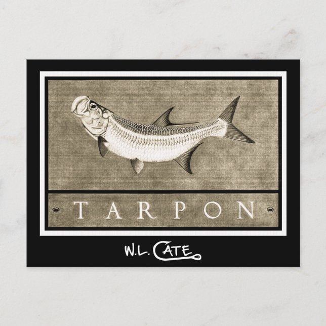Tarpon Vintage Black & White Postcards (Front)