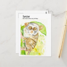 Tarsier- DNM Postcards