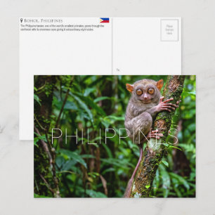 Tarsier in Bohol, Philippines Travel Postcard