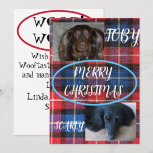 Tartan Merry Christmas Pet Duo Blue Plaid Holiday Card