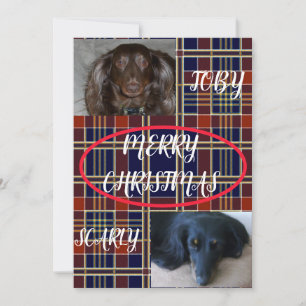 Tartan Merry Christmas Pet Duo Plaid Holiday Card