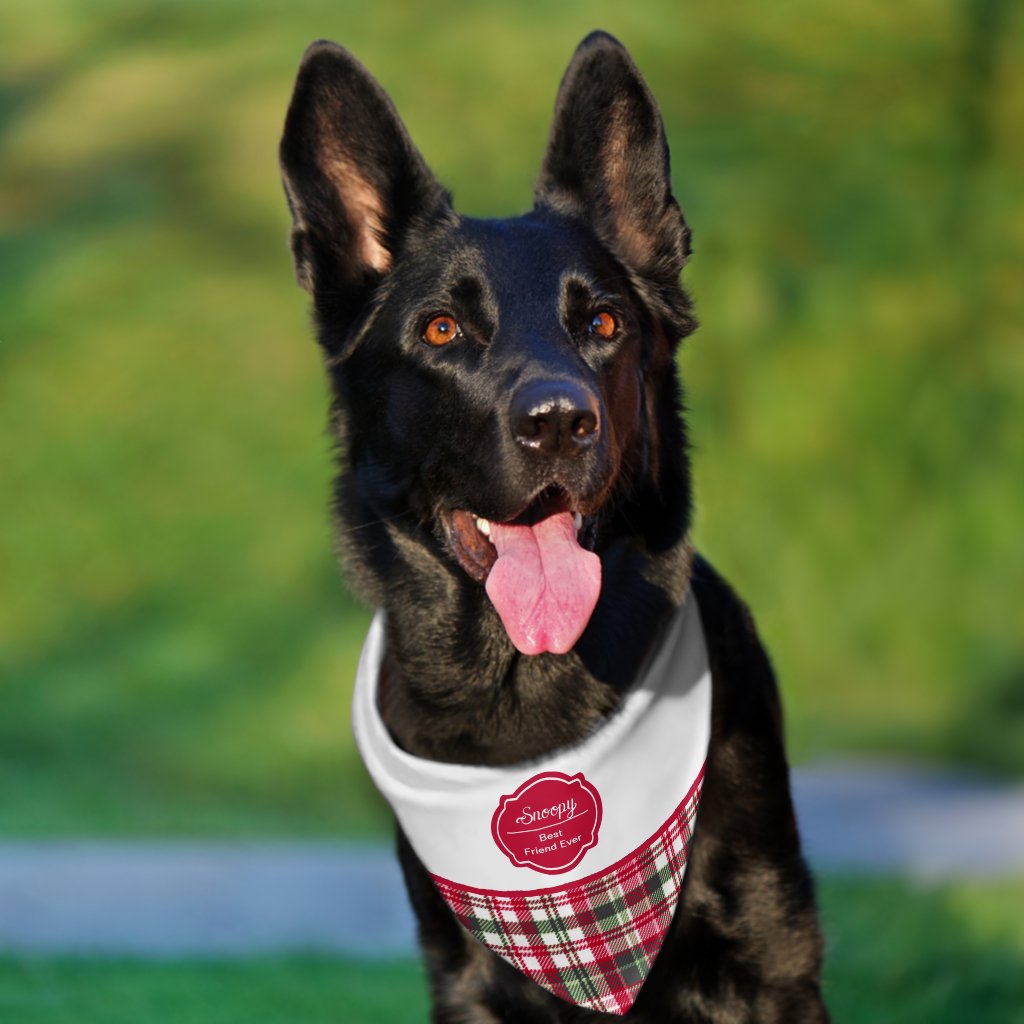 Tartan pattern and red badge customizable