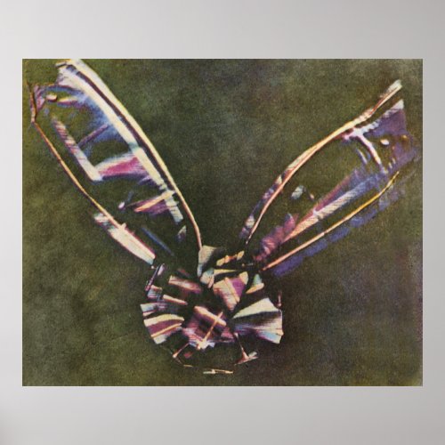 Tartan Ribbon First Known Color Photograph Poster