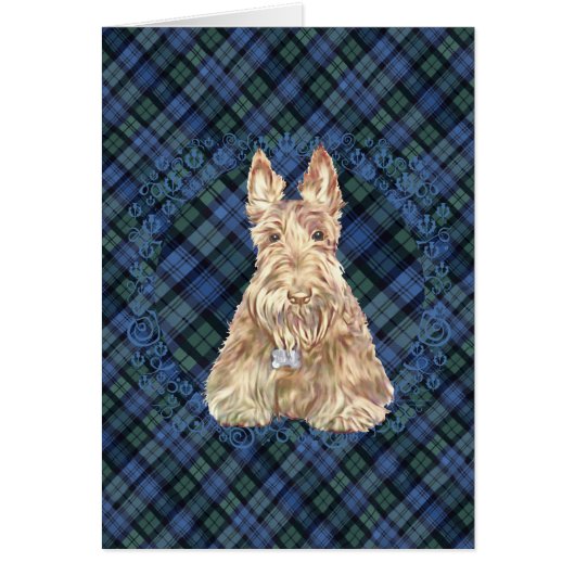 Tartan Scottie Cards (Front)