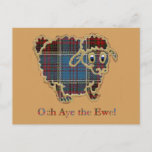 tartan sheep "Och Aye the Ewe" Postcard