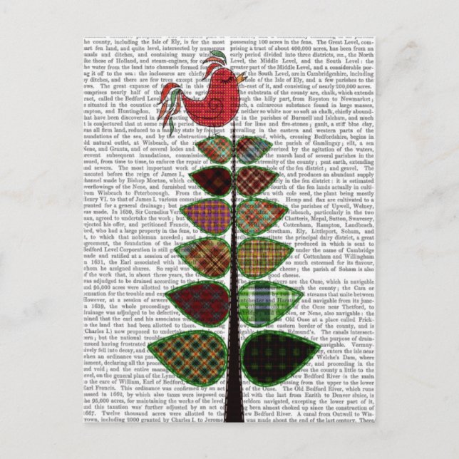 Tartan Tree Illustration Postcard (Front)