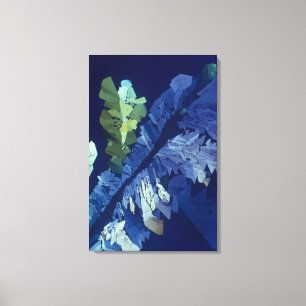 Tartaric Acid Crystals 2 Canvas Print