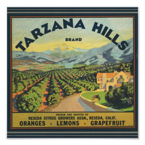 Tarzana Hills Oranges packing label Photo Print