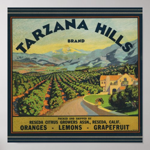 Tarzana Hills Oranges packing label Poster