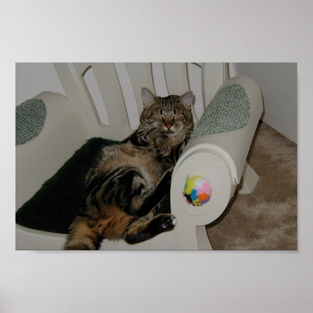 Tasha Bear Poster (Front)