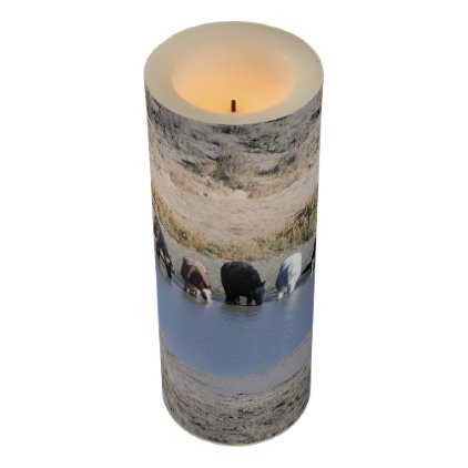 Tashunka Flameless Candle