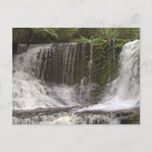 TASMANIA AUSTRALIA WATERFALLS  NATURE RIVERS POSTCARD