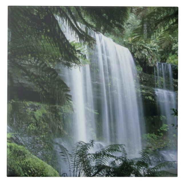 Tasmania, Mt. Field National Park, Russell Falls Tile (Front)