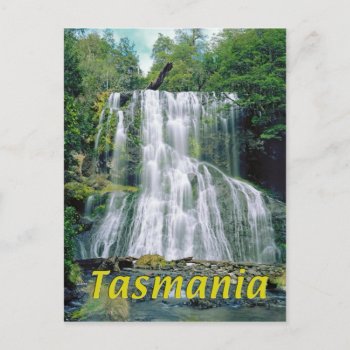 Tasmania Postcard by leksele at Zazzle