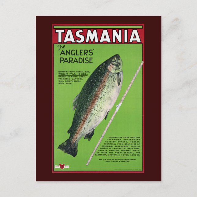 Tasmania ~ The Angler's Paradise Postcard (Front)