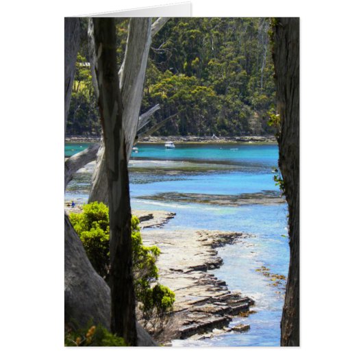Tasmanian Coast Cards (Front)
