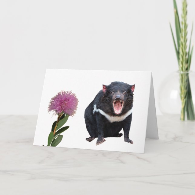  Tasmanian Devil and Bottlebrush    Card (Front)
