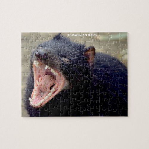 Tasmanian Devil Australia Jigsaw Puzzle