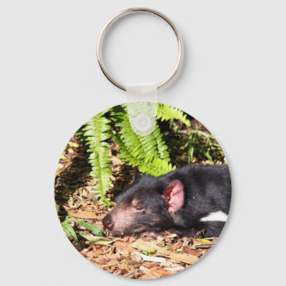 Tasmanian Devil Basking in the Sunlight Keychain