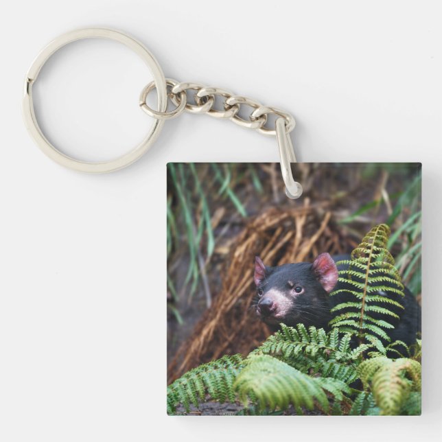 Tasmanian Devil Encounter Keychain (Front)