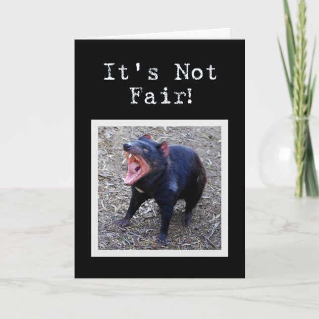 Tasmanian Devil Happy Birthday Humor Card (Front)
