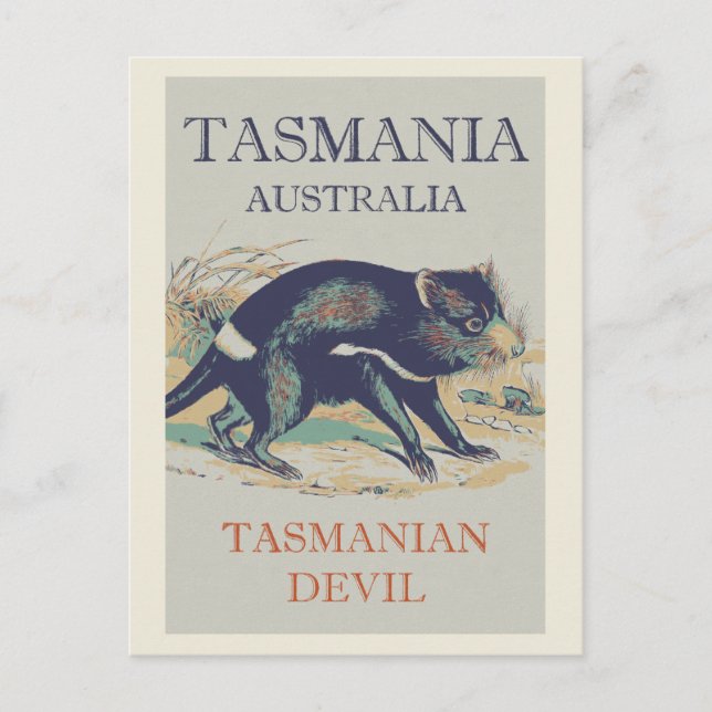 Tasmanian Devil, iconic animal Tasmania Australia Postcard (Front)