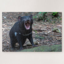 Tasmanian Devil in Tasmania Australia, 1014 pieces Jigsaw Puzzle